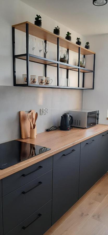 Apartament Klasztorna Centrum Nowy Sącz Extérieur photo